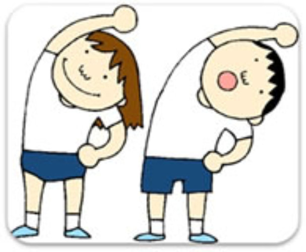 Ejercicios de Rehabilitación Física en Metepec